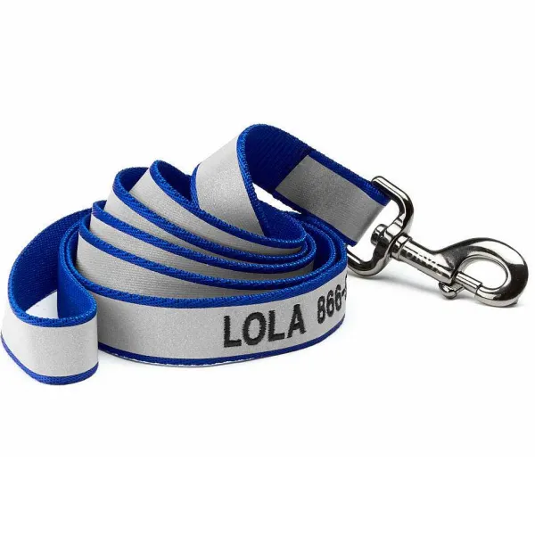 Orvis Reflective 6' Leash| Leashes