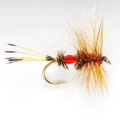 Orvis Royal Coachman| Dry Flies