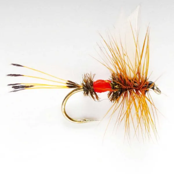 Orvis Royal Coachman| Dry Flies