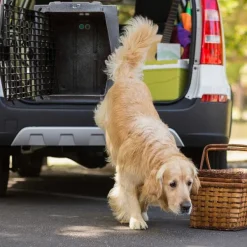 Orvis Ruff Land Performance Dog Kennel| Cargo Protectors