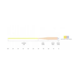 Orvis Scientific Anglers Amplitude Smooth Grand Slam Fly Line| Fly Line