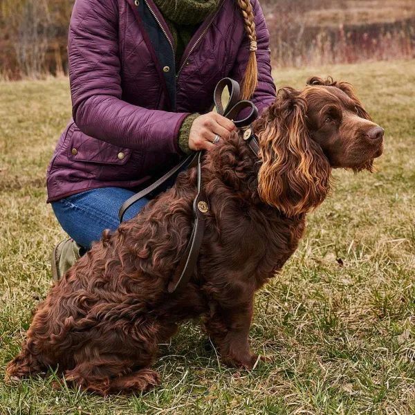 Orvis Shotshell Dog Collar| Collars