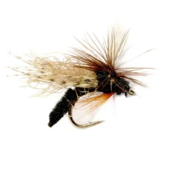 Orvis Spotlight Caddis Emerger| Dry Flies