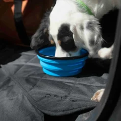 Orvis Tough Trail® Collapsible Dog Bowl| Travel Accessories