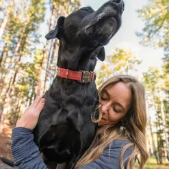 Orvis Tough Trail® Dog Collar| Collars