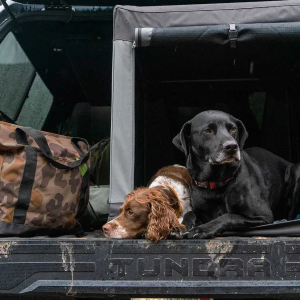 Orvis Tough Trail® Folding Travel Crate| Cargo Protectors