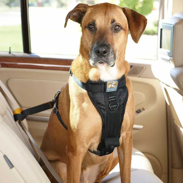 Orvis Tru-Fit Smart Harness Car Restraint| Travel Accessories