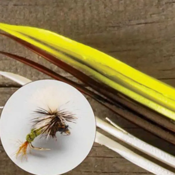 Orvis Turkey Biots| Materials